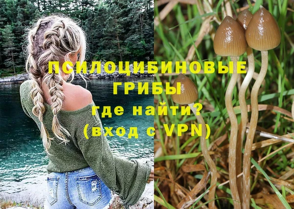 дурь Белокуриха