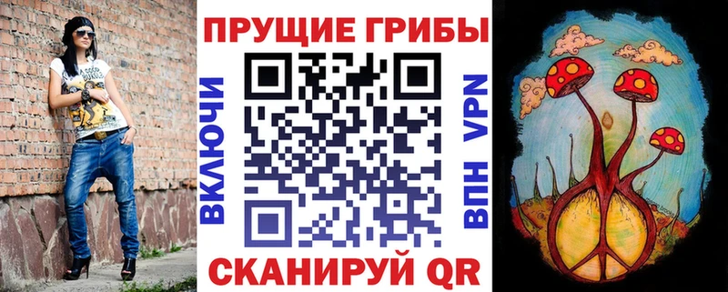 hydra ССЫЛКА Саратов Галлюциногенные грибы GOLDEN TEACHER